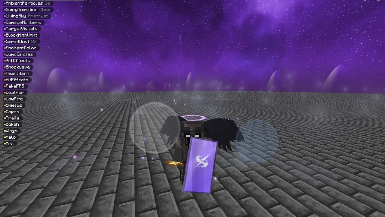 Shields in Minecraft with Inject